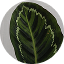 Medallion Dark green