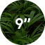 Nine
