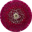 Gerbera Majestic Burgundy