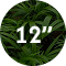Twelve