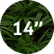 fourteen