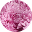 Mount® Hekla